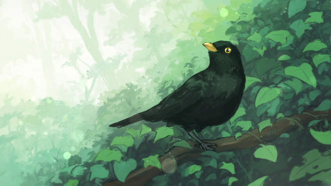 amsel suite backerkit